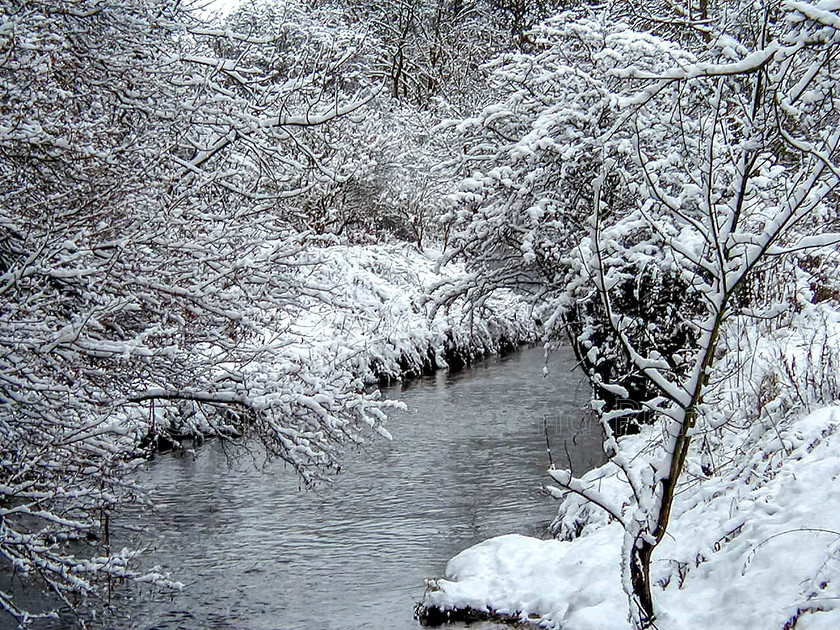 Ponteland-Park-in-Winter0005 
 OLYMPUS DIGITAL CAMERA 
 Keywords: 2010, 2013, Diamond Inn, Flowers, Park Gates, Pont, Ponteland, Ponteland Collection, River, Snow